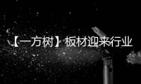 【一方树】板材迎来行业大咖，共谋发展新篇章