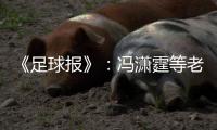《足球报》
：冯潇霆等老将确认无缘国家队名单
