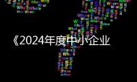 快排公司十年历程，霸屏兔 seo 的崛起与坚守
