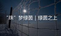 “珠”梦绿茵｜绿茵之上：金湾区如何打造足球发展生态链？