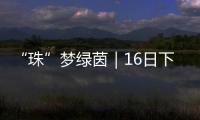 “珠”梦绿茵｜16日下午，珠海市青少年足球锦标赛决赛热血开战