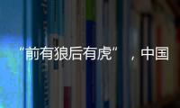 “前有狼后有虎”，中国第三大动力电池生产商赴港上市