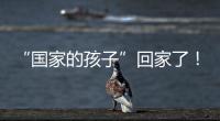 “国家的孩子”回家了！这场半个多世纪的分别迎来完满结局