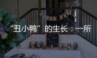 “丑小鸭”的生长：一所学校防治青少年抑郁的探索与思考