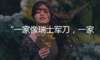 “一家像瑞士军刀，一家像手术刀”：中国版英伟达抢滩科创板