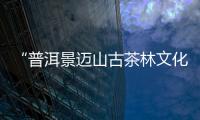 “普洱景迈山古茶林文化景观”，申遗成功