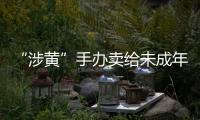“涉黄”手办卖给未成年人�：应对玩具分级管理丨快评
