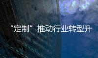 快排公司十年历程，霸屏兔 seo 的崛起与坚守