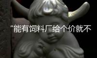 “能有饲料厂给个价就不错了”：河南小麦遇“烂场雨”后