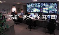 “苏超”赛场用的国产草
，到底有多能打？