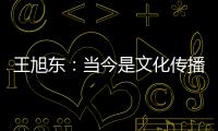 王旭东�：当今是文化传播的最好时代