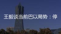 王毅谈当前巴以局势	：停火止暴是当务之急