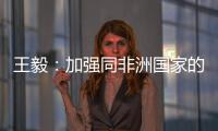 王毅
：加强同非洲国家的团结合作
，是中国外交不变的优先方向