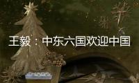 王毅：中东六国欢迎中国在中东事务发挥更大作用