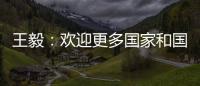 王毅：欢迎更多国家和国际组织加入“支持非洲发展伙伴倡议”