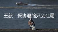 王毅：妥协退缩只会让霸凌者得寸进尺