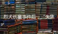 烈犬伤童事件后
，“失焦”的多地捕狗风波