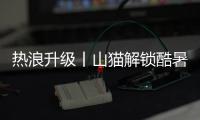 热浪升级丨山猫解锁酷暑施工新姿势	！