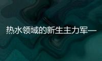 快排公司十年历程，霸屏兔 seo 的崛起与坚守