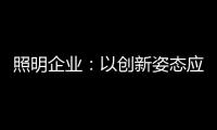 照明企业
：以创新姿态应对逆境 提升附加值