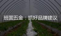 班固五金	：抓好品牌建议 提升营销服务