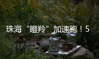 珠海“瞪羚”加速跑
！57家企业上榜，新一代信息技术“领衔”