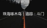 珠海啄木鸟｜追踪
：斗门区乾务片区排水管建设工程 项目缺口资金已到位 力争今年年底完工