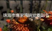 珠海市唐家湾镇党委副书记、镇长钟华接受纪律审查和监察调查