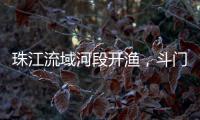 珠江流域河段开渔	�，斗门河鲜抢“鲜”上市
