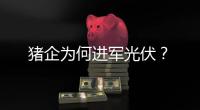 猪企为何进军光伏？