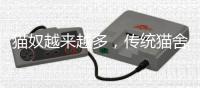 猫奴越来越多，传统猫舍却开不下去了
？