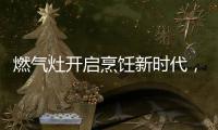 燃气灶开启烹饪新时代
，丰蓝1号燃气灶电池赋能美味佳肴