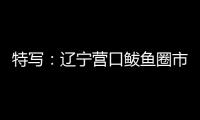 特写：辽宁营口鲅鱼圈市民以积极心态面对疫情