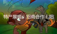 特产展销	、招商合作	！阳西把商务服务中心建在斗门