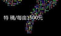 特 稿/每亩1500元收购�：谁在高价割青麦转饲料？