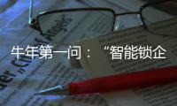 牛年第一问：“智能锁企业如何赢得市场?”
