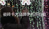 瓷砖十大品牌伊莉莎白瓷砖新品上市，让空间更大气