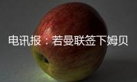 快排公司十年历程，霸屏兔 seo 的崛起与坚守