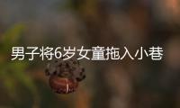 男子将6岁女童拖入小巷，警方通报