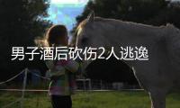 男子酒后砍伤2人逃逸 警方：已抓获归案并刑拘