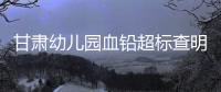 甘肃幼儿园血铅超标查明，后厨非法添加彩绘颜料｜周一健