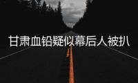 甘肃血铅疑似幕后人被扒，曾获地方女性大奖，与涉事园长关系亲属