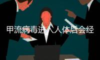 甲流病毒进入人体后会经历什么？