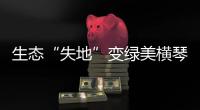 生态“失地”变绿美横琴�，历经15年这里成为生态新家园