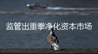 监管出重拳净化资本市场：IPO倒查十年，对违法违规上“硬措施”