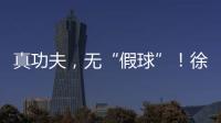 快排公司十年历程，霸屏兔 seo 的崛起与坚守