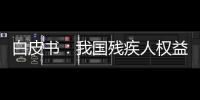 白皮书：我国残疾人权益保障更加有力