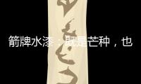 箭牌水漆：既是芒种�，也是世界环境日!