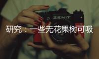 研究：一些无花果树可吸收并“石封”大气中二氧化碳