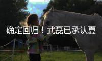 确定回归！武磊已承认夏窗回归上海海港队